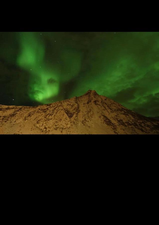 Senja Villa Gryllefjord Eksteriør bilde